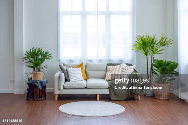 grey sofa and cushions beside decorate with plant. - dekorativ matta bildbanksfoton och bilder