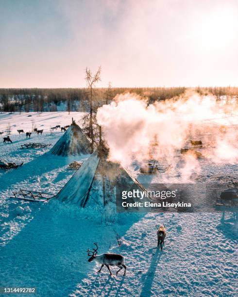 reindeer herder camp in north siberia from above - nenets stock pictures, royalty-free photos & images