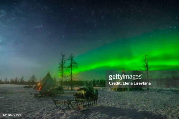 nothern lights under wild camp of the reindeer herders at yamal.russia - nenets stock pictures, royalty-free photos & images