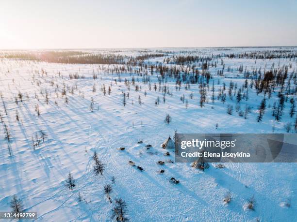 reindeer herder camp in north siberia from above - siberia stock pictures, royalty-free photos & images