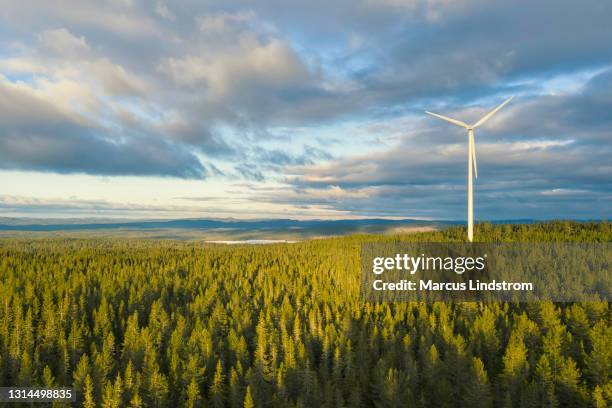 wind power station in a forest landscape - wind power station stock pictures, royalty-free photos & images