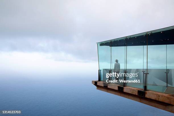 man standing on skywalk in front of sky - gomera bildbanksfoton och bilder