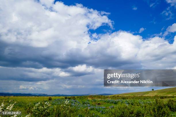 cloudy day in the steppe of khakassia - 巻積雲 ストックフォトと画像