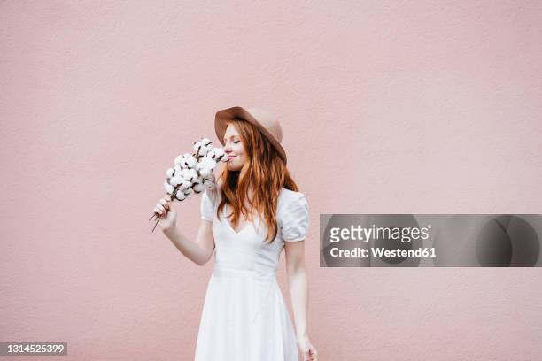 beautiful redhead woman smelling cotton plant in front of pink wall - cotton plant stock-fotos und bilder