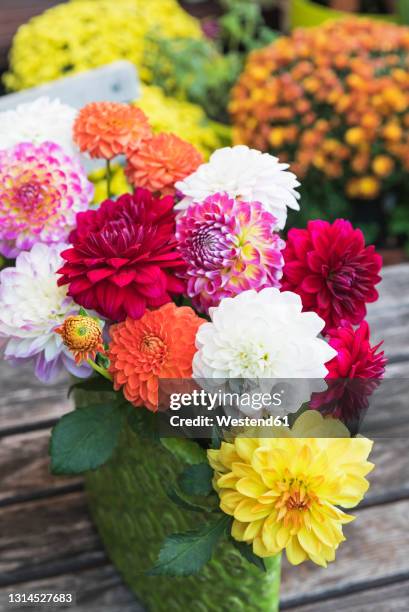 colorful dahlia bouquet in vase on garden table - chrysanthemum fotografías e imágenes de stock