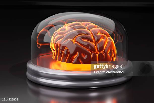 3d illustration of brain in jar - brain in a jar stock illustrations