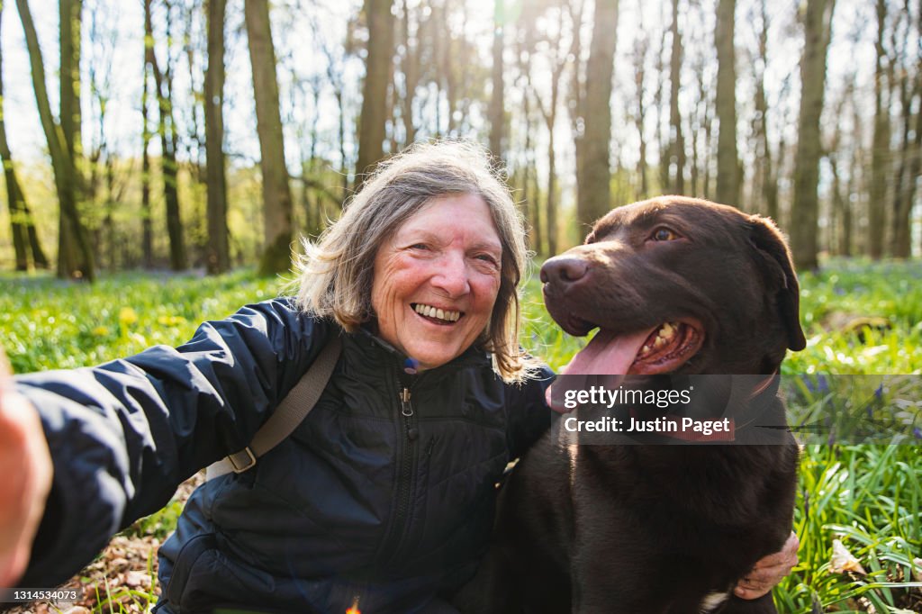 A senior lady takes a selfie her with chocolate labrador dog