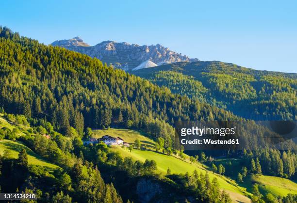 mountain psture oberkartnall and hoher burgstall mountain, stubai alps, tyrol, austria - alpen berghütte stock-fotos und bilder