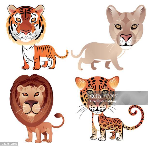 Tiger Lion Leopard And Puma High-Res Vector Graphic - Getty Images