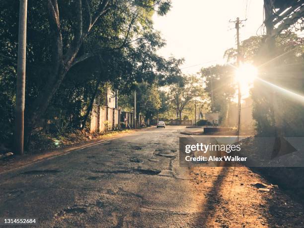 suburban african idyllic street scene with trees - kenyansk kultur bildbanksfoton och bilder