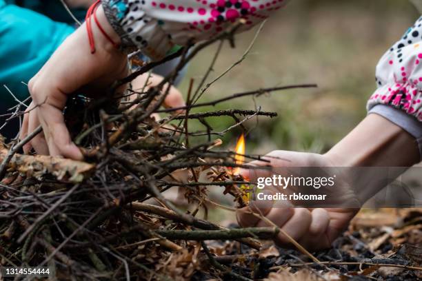 children's hands make a fire with a lighter flame. mischief of kids in nature. making a fire from dry branch and grass while camping - feuerzeug stock-fotos und bilder