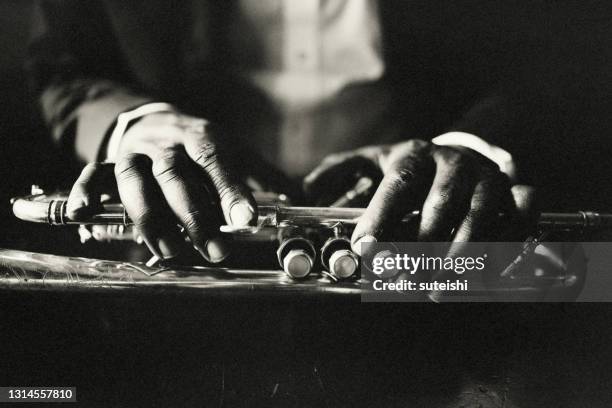 the-hands-of-the-musician.jpg?