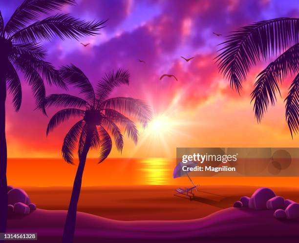 tropischer strand bei sonnenuntergang - hammock-between-palm-trees stock-grafiken, -clipart, -cartoons und -symbole