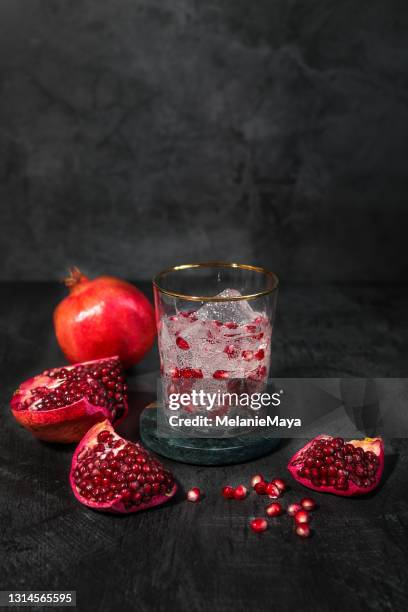 granaatappeldrank gin tonic water doordrenkt met vers fruit - fizzy drink stockfoto's en -beelden