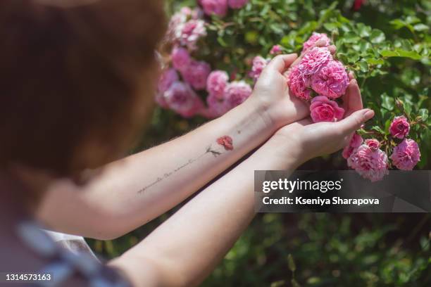 close-up, hands holding bush rose flowers in a park-stock photo - delicate tattoo stock pictures, royalty-free photos & images