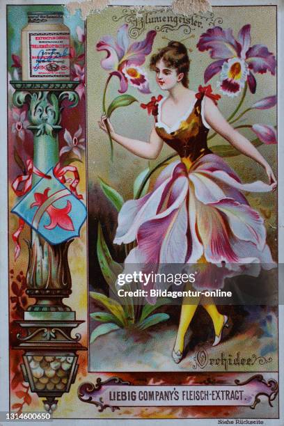 Photos Series women as flowers, orchid / Bilderserie Frauen als Blumen, Orchidee, digital improved reproduction of a collectible image from the...