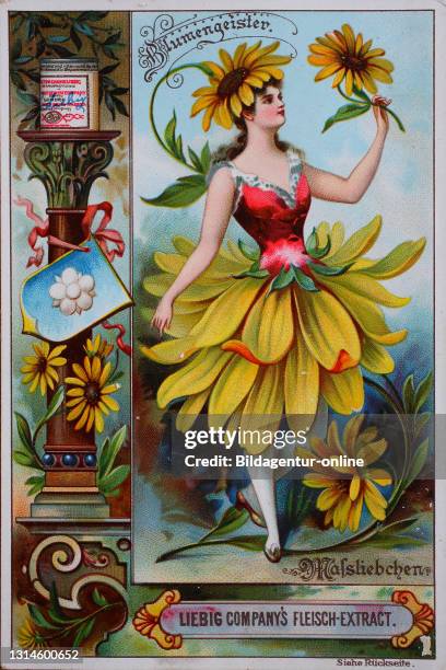 Photos Series women as flowers, daisies, daisy / Bilderserie Frauen als Blumen, Maßliebchen, Gänseblümchen, digital improved reproduction of a...