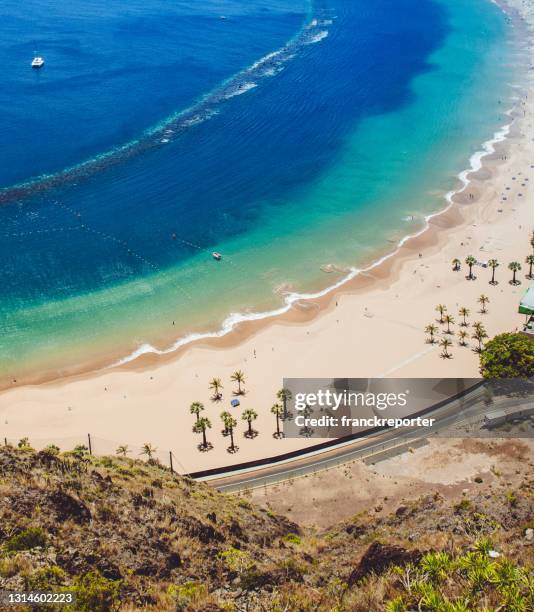 palme am strand in tenerife - teneriffa stock-fotos und bilder