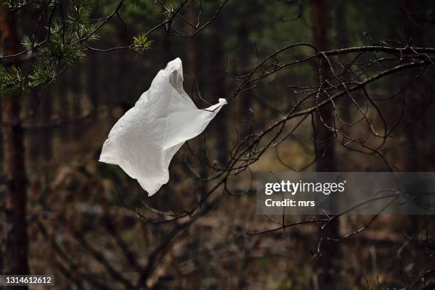 plastic bag caught on tree - sac en plastique photos et images de collection