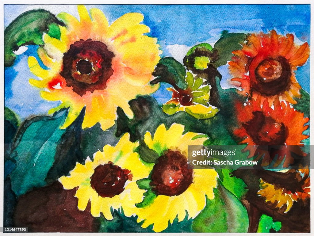 Sunflowers