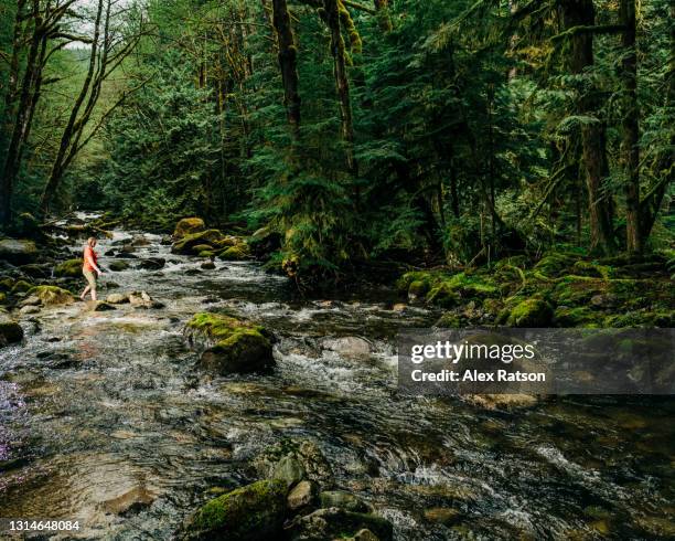 adventures women fords across river that cuts through a lush coastal forest near squamish - zest ford stock pictures, royalty-free photos & images