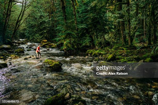 adventures women fords across river that cuts through a lush coastal forest near squamish - zest ford stock pictures, royalty-free photos & images