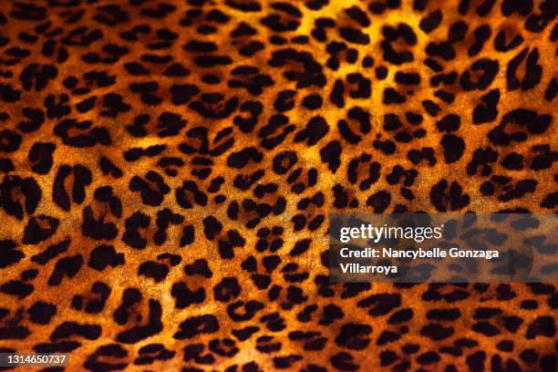 faux animal print on textile - animal print foto e immagini stock