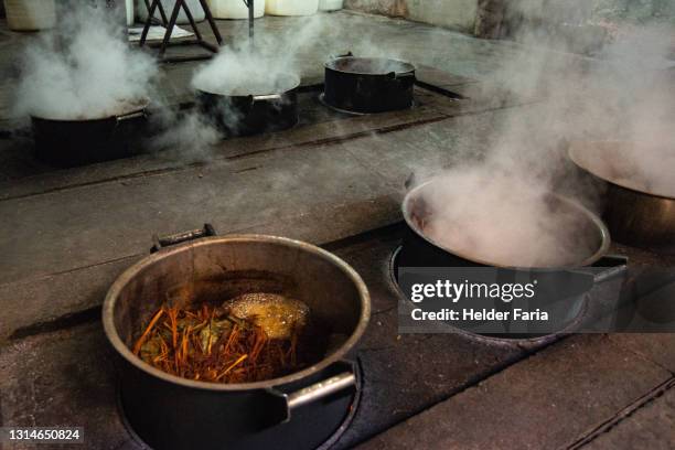 ayahuasca / daime / hoasca / iagê / vegetal - ayahuasca stock pictures, royalty-free photos & images