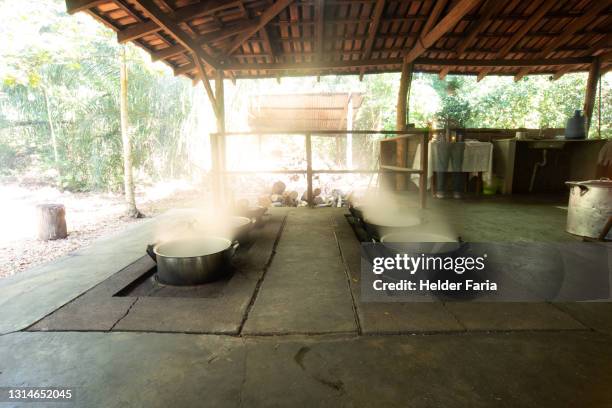 ayahuasca / daime / hoasca / iagê / vegetal - ayahuasca stock pictures, royalty-free photos & images