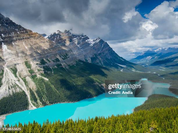 Canada, Alberta, Banff National: Lake Peyto.