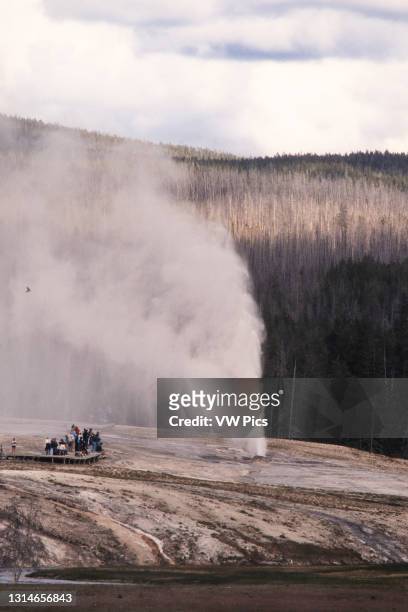 Tourists watch the Beehive Geyser erupting in the Upper Geyser Basin of Yellowstone National Park, Wyoming, USA.