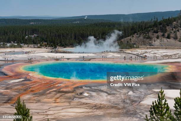 The Grand Prismatic Spring and Excelsior Geyser in the Midway Geyser Basin in Yellowstone National Park, Wyoming, USA.