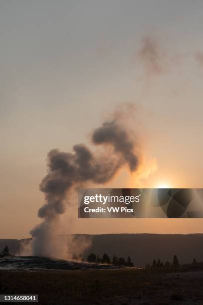 The Old Faithful Geyser backlit at sunset in Yellowstone National Park in Wyoming, USA.