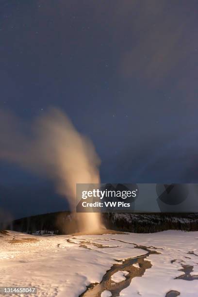 The Old Faithful Geyser erupts on a cold winter night in Yellowstone National Park in Wyoming, USA.