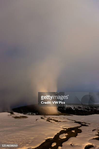 The Old Faithful Geyser erupts on a cold winter night in Yellowstone National Park in Wyoming, USA.
