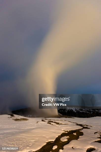 The Old Faithful Geyser erupts on a cold winter night in Yellowstone National Park in Wyoming, USA.