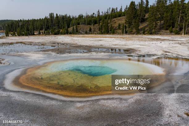 Archaea Photos and Premium High Res Pictures - Getty Images