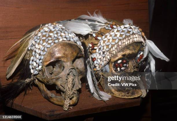 Ethnic group living in the Papua province of Indonesia, along the Arafura Sea. Decorated Ancestors skulls. Asmat Museum in Agats. Photograph taken by...