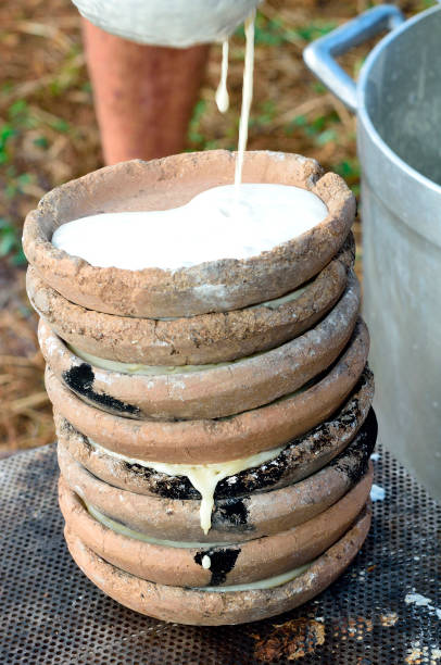 Testaroli, one of the oldest types of Italian pasta, dating back to ancient Rome, Basilica dei Fieschi di San Salvatore di Cogorno. Lavagna, Liguria....
