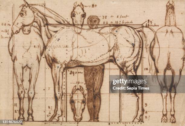 Anatomical Study of a Horse, William Mulready, 1786–1863, Irish, undated, Pen, in brown ink on medium, moderately textured, blued white, laid paper,...