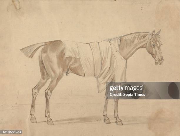 Horse Dressed in Blanket, Sawrey Gilpin, 1733–1807, British Graphite, brown wash, pen and brown ink on medium, moderately textured, beige, laid...