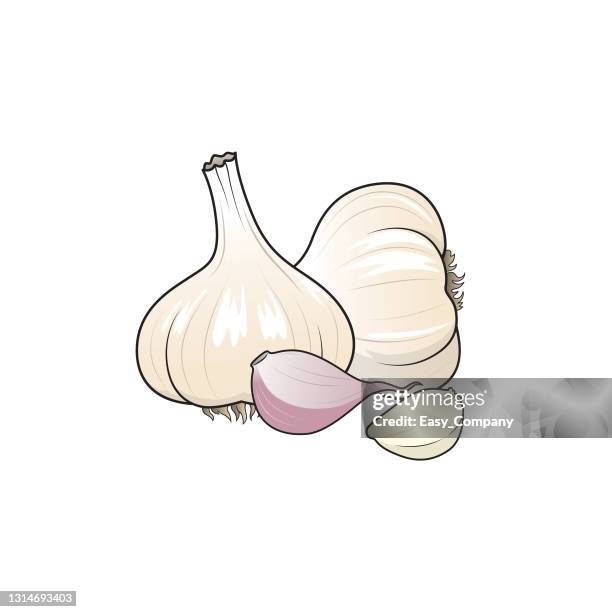 109点のニンニク一片イラスト素材 Getty Images 109点のニンニク一片イラスト素材 Getty Images