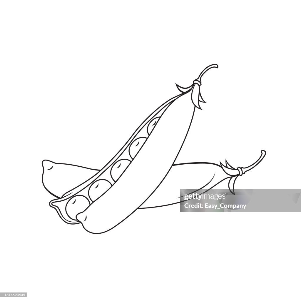 Vector Illustration Of Peas Isolated On White Background Black And White  For Coloring Organic Vegetables And Fruits Cartoon Concepts Education And  School Kids Coloring Page Printable Activity Worksheet Flashcard High-Res  Vector Graphic -