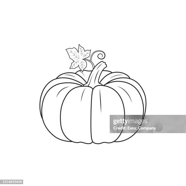 Ilustraciones de Calabaza - Getty Images Ilustraciones de Calabaza - Getty Images