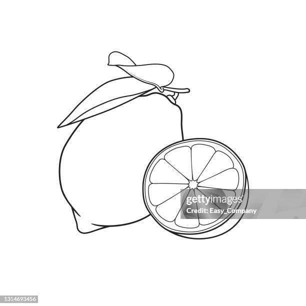 illustrazioni stock, clip art, cartoni animati e icone di tendenza di illustrazione vettoriale di limone isolato su sfondo bianco. bianco e nero per la colorazione. concetti di cartoni animati di verdure e frutta biologici. istruzione e materiale scolastico, pagina da colorare per bambini, stampabile, attività, foglio di la - libri gialli estate