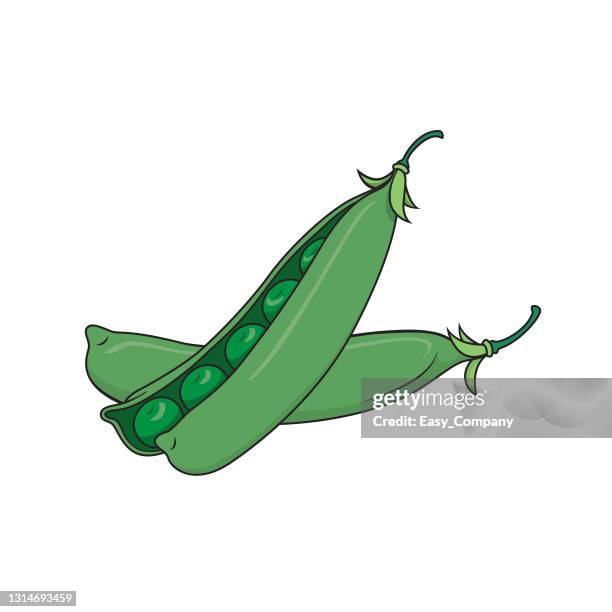 ilustraciones, imágenes clip art, dibujos animados e iconos de stock de ilustración vectorial de guisantes aislados sobre fondo blanco. conceptos orgánicos de dibujos animados de verduras y frutas. educación y material escolar, página para colorear para niños, imprimible, actividad, hoja de trabajo, tarjeta flash. - vaina de guisante