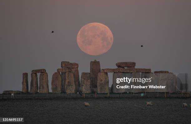 The full moon sets behind Stonehenge on April 27, 2021 in Amesbury, England. The pink supermoon will reach peak size in the early hours of Tuesday...