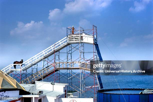 Diving horse, Steel Pier, Atlantic City, New Jersey, USA, John Margolies Roadside America Photograph Archive, 1978.