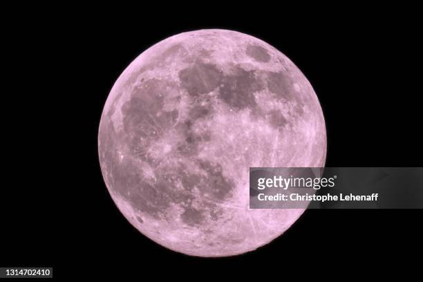 the super full pink moon 2021 - planetary moon stockfoto's en -beelden