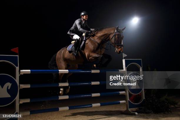 pferd und reiter springen über hürde - kastanienfarben stock-fotos und bilder